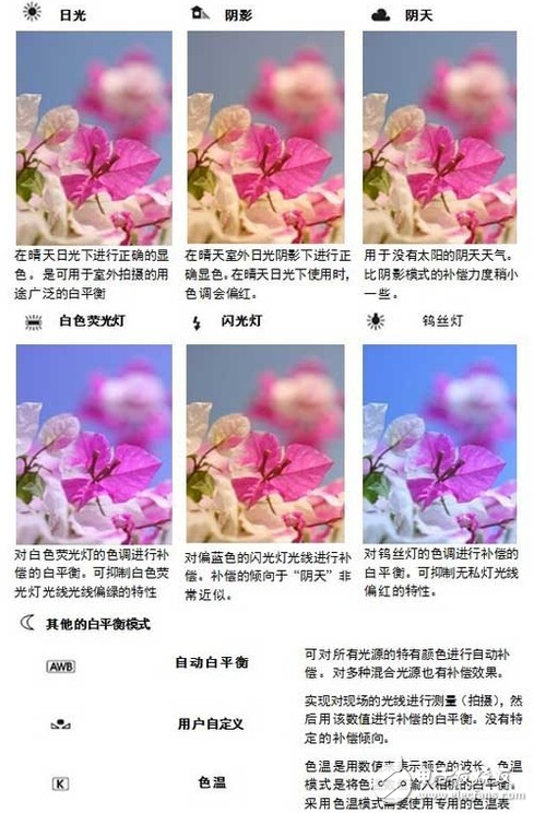 白平衡的作用与效果