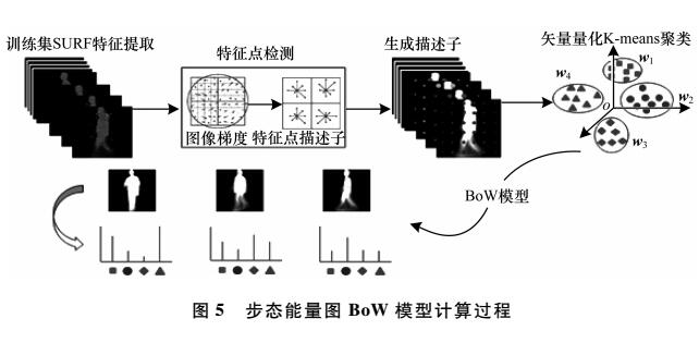 保留步态特征空间分布信息的步态识别方法