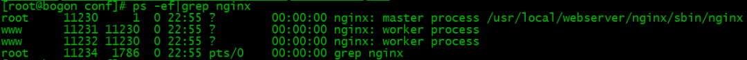 Apache与Nginx 简单对比  以及Nginx 基本使用方法