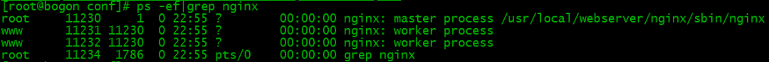 Apache與Nginx 簡單對比  以及Nginx 基本使用方法