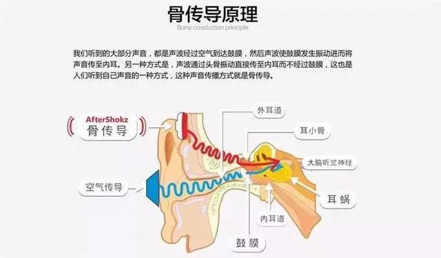 深度剖析骨传导技术原理、优点以及应用