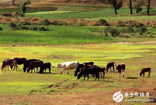 这么NB的NB-IOT到底能用在哪些行业？