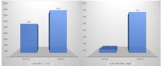比亚迪继续领跑新能源车市场 1月销量增长达1505%和292%