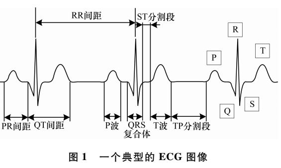 一种混合的ECG人体识别方法