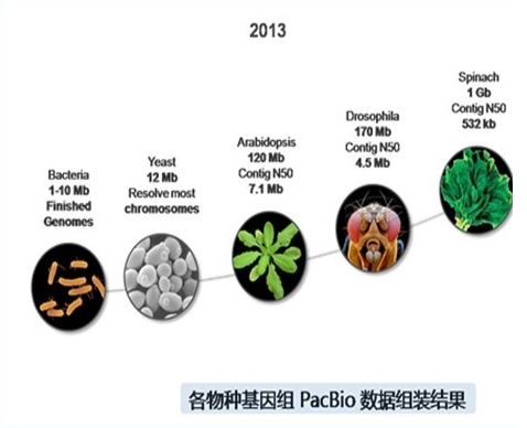 高通量测序技术及其应用