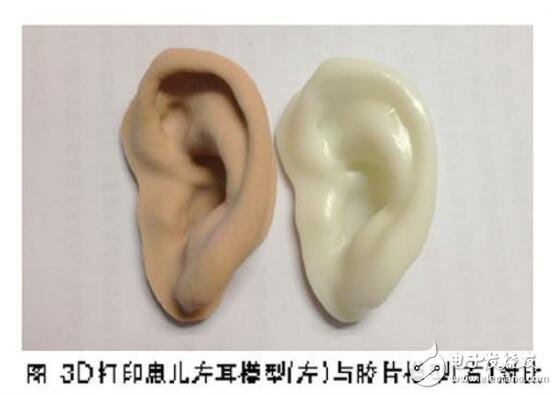 我國科學家成功用細胞“種出”人類耳朵