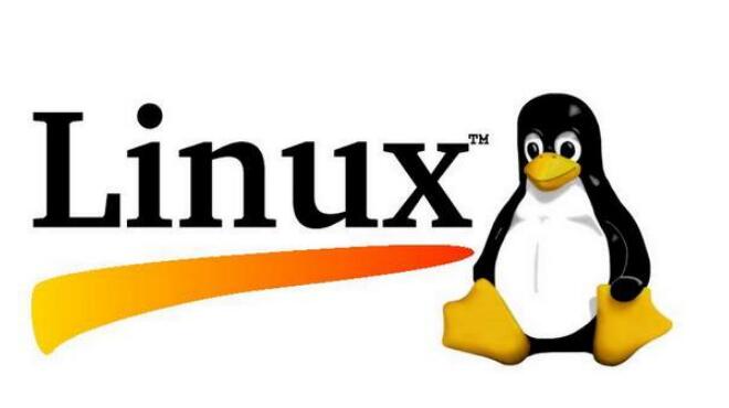 Linux 及C语言高级开发