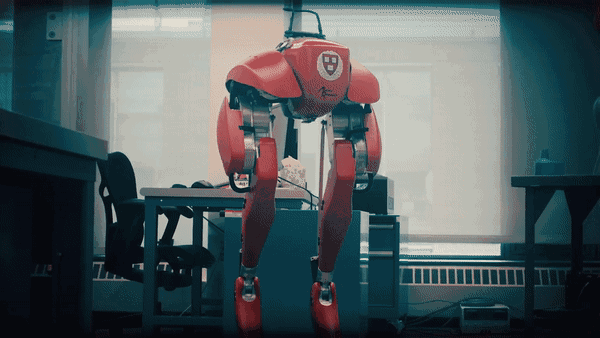 "我认为,机器人在物理上的能力已经够用了,但它们想要实现动态极限