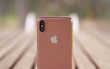 iPhoneX中途加入一个受众不明朗的腮红金