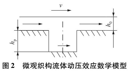 不同微观织构柱塞泵配流副润滑油膜控制方程