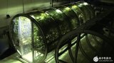 水栽法收获是普通农场10倍 移民火星不是梦