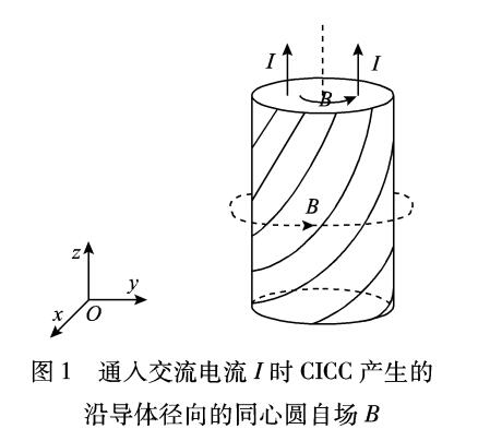 管內(nèi)電纜導(dǎo)體傳輸交流損耗的理論計算和實驗