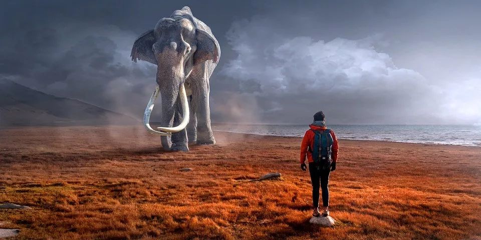 我们的「世界模型」可实现在其梦境中对智能体进行快速训练