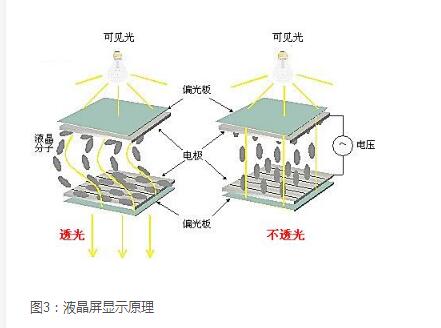 段碼液晶屏實(shí)現(xiàn)原理及應(yīng)用