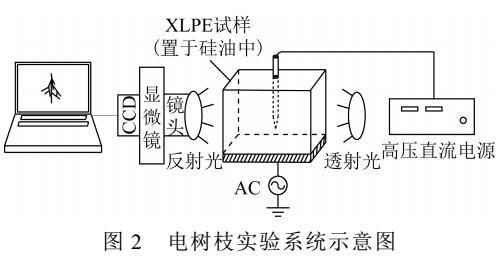 直流疊加交流電壓下電樹枝的引發和生長特性