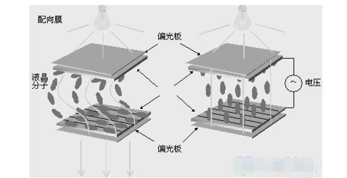 显示器接口的种类有哪些？它们的特性是什么