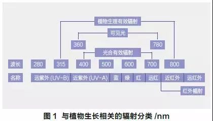 高压钠灯