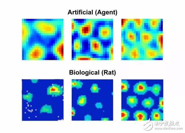 科学家通过AI技术创造了一套复杂神经网络来模拟大脑的空间导航能力