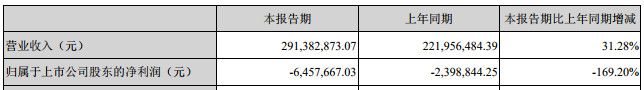 29家鋰電材料上市公司一季度業(yè)績(jī)曝光  可見(jiàn)哪種材料業(yè)務(wù)最賺錢