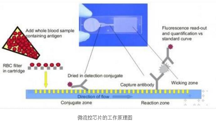 微流控芯片技術詳解_微流控技術在生物醫學上的應用