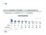 赛诺&微博联合发布了智能手机大数据微报告