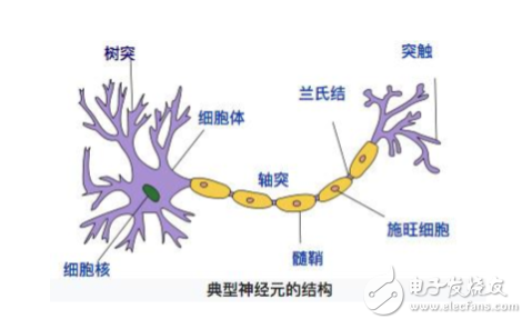 神经网络和深度学习之神经元和分类器