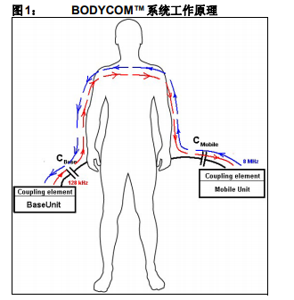 新型短程无线连接技术BodyCom系统的详细中文资料概述