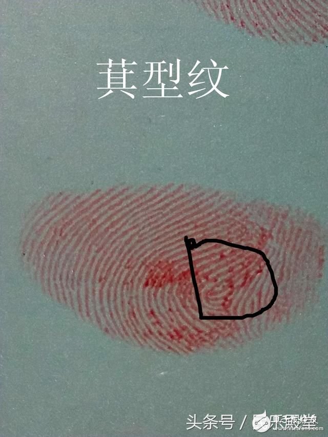 指纹识别