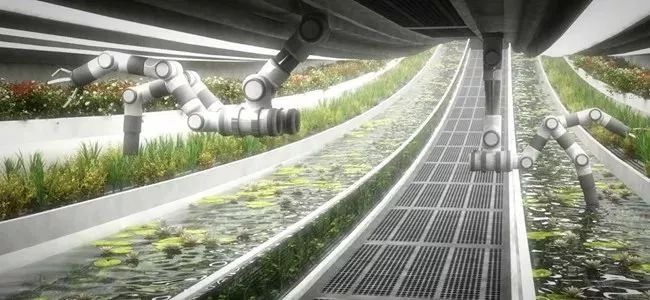 未来食品应该是什么样子?这11项创新技术告诉你
