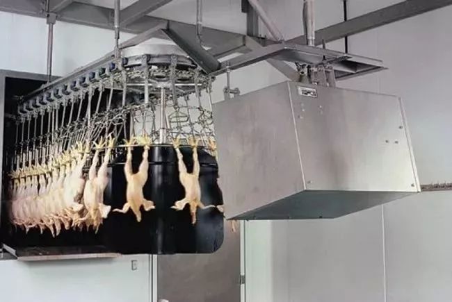 未来食品应该是什么样子?这11项创新技术告诉你