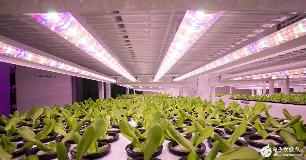 中科生物将对5000平方米的室内高科技农场进行翻新