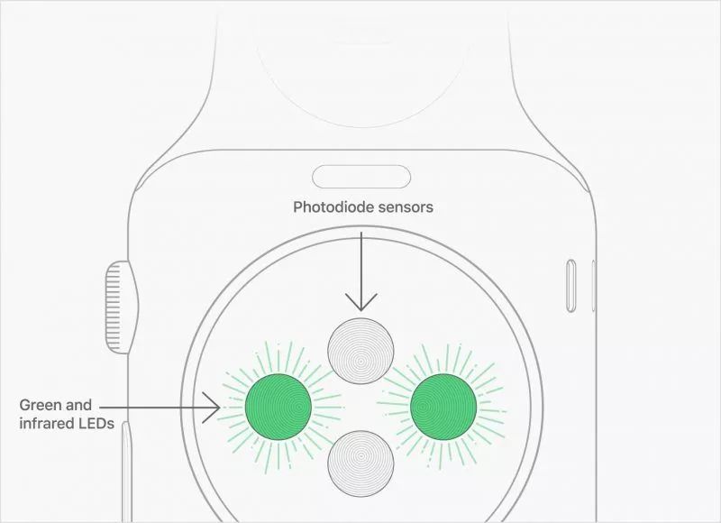 Apple Watch 4迎首次设计变更 解决尺寸问题