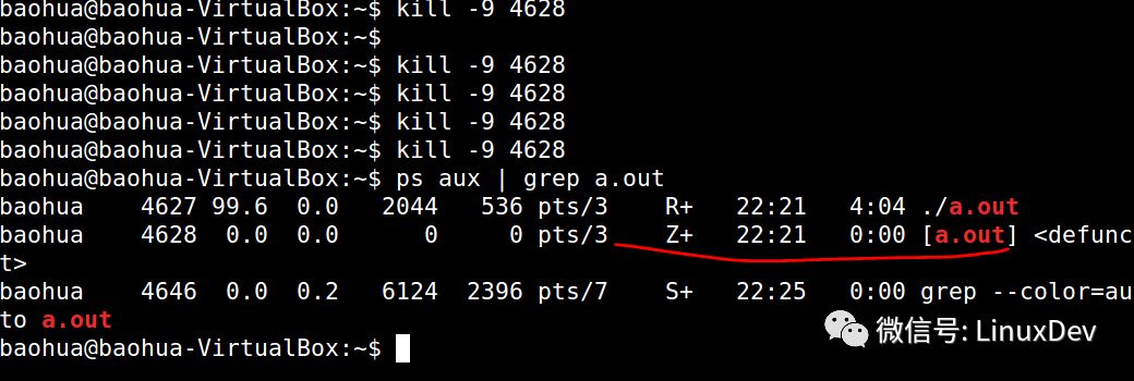 什么是僵尸进程_Linux僵尸进程可以被“杀死”吗？