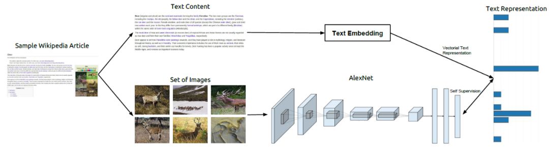 TextTopicNet模型：以自监督学习方式学习区别视觉特征
