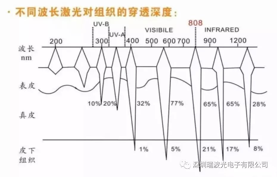 瑞波光电研发的755nm波长在美容行业的应用