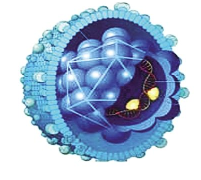 可以破壞乙肝病毒基因組的藥物研制成功,為乙肝患者...
