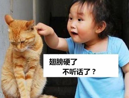 軟件工程師們口中的鄙視鏈到底有多慘烈、多殘酷?