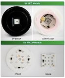 首尔伟傲世推出UV WICOP模组