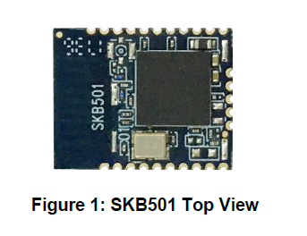 蓝牙5.0BLE模块SKB501详细数据手册免费下载