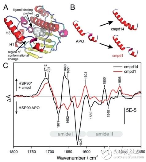 如何利用紅外傳感器追蹤蛋白質(zhì)構(gòu)象變化設(shè)計(jì)出高效藥物？