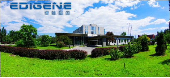利用基因编辑技术进行世界性难题遗传病治疗,技术前...
