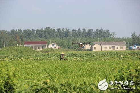 杂交水稻制种进入关键阶段,植保无人机助力进行空中喷洒赤霉素