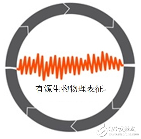 从50多个生物识别可穿戴产品开发周期得到的十大经验教训
