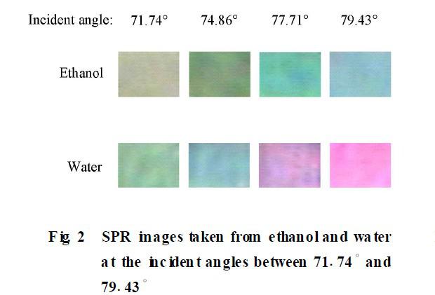 利用CSPR I系统进行彩色表面等离子体共振成像的研究