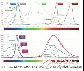 LED植物照明的发展趋势如何