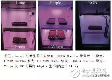 LED植物照明的发展趋势如何