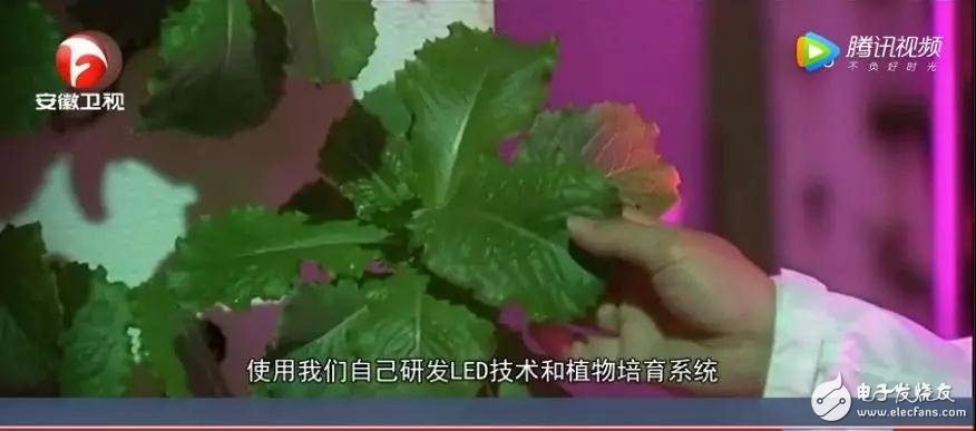 韩国将一公路隧道成功改造成了大型室内农场