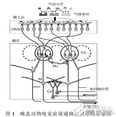 仿生传感器