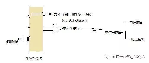 传感器