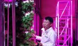 蘇格蘭一垂直農場以LED照明降低50%能耗